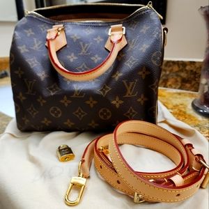 Louis Vuitton Brown and Tan Monogram Bag